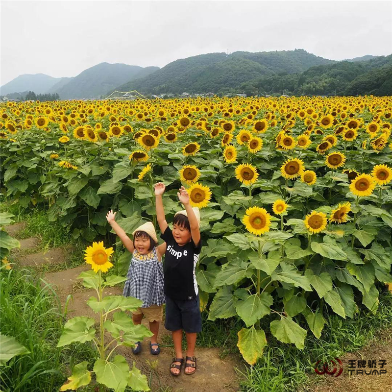 微信图片_20190715225311.jpg
